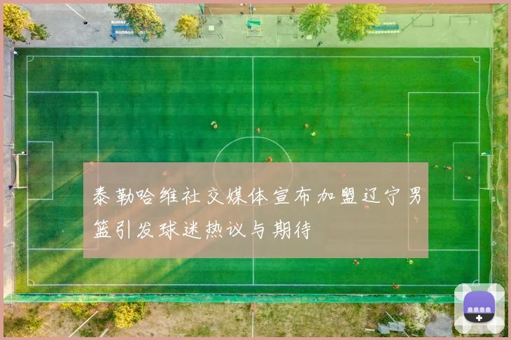 泰勒哈维社交媒体宣布加盟辽宁男篮引发球迷热议与期待