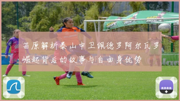 苗原解析泰山中卫佩德罗阿尔瓦罗崛起背后的故事与自由身优势