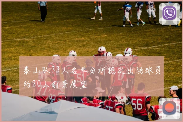 泰山队33人名单分析稳定出场球员约20人前景展望
