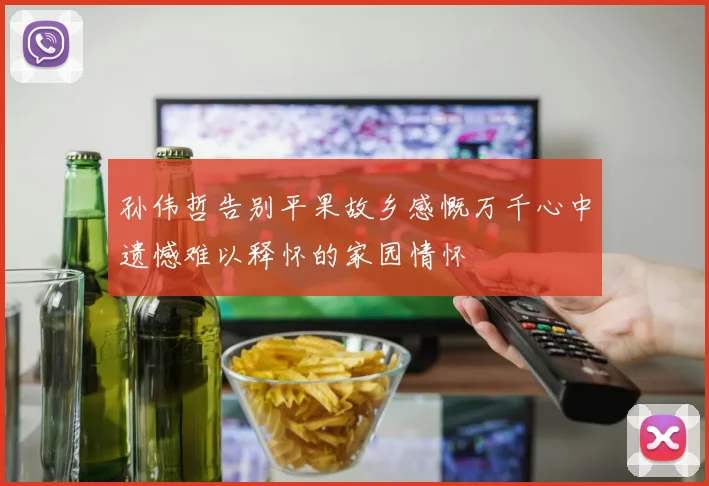 孙伟哲告别平果故乡感慨万千心中遗憾难以释怀的家园情怀